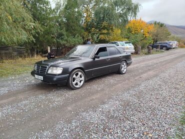 Mercedes-Benz: Mercedes-Benz E 320: 1995 г., 3.2 л, Автомат, Газ, Седан