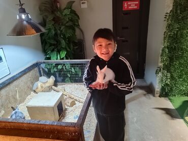 Утепление: Утепление фасада, Утепление стен | Утепление контейнера, Утепление дома, Утепление квартиры Penoplex, Термопанели Больше 6 лет опыта — 7