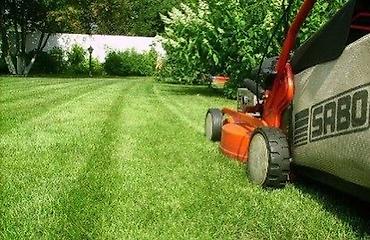 Дворники, садовники: 🌱Я садовник сеем газон с нуля посев газон садовник выезд — 14