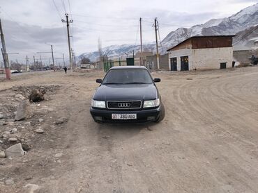 Audi: Audi 100: 1991 г., 2.3 л, Механика, Бензин, Седан