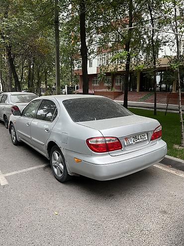 магнум казырёк: Nissan Maxima: 2001 г., 2 л, Автомат, Бензин, Седан — 3