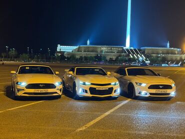 Nəqliyyat vasitəsinin icarəsi: Həftəlik, Hyundai, Depozitlə, Depozitsiz — 10