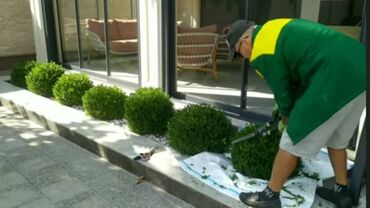 Другие услуги: Сделали ландшафтный дизайн? Нужно поддерживать его в идеальном — 13