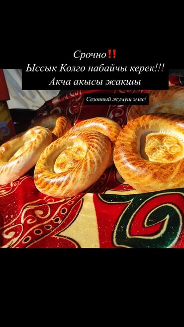 требуется водитель с машиной: Срочно навайчы керек! Жата кана Тамак аш бекер! Баардык условиялар бар