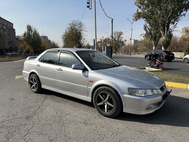 спойлер на аккорд: Honda Accord: 1998 г., Седан