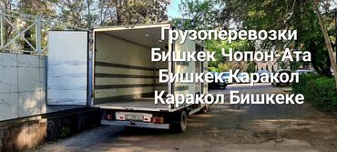 Портер, грузовые перевозки: Портер, Переезд, перевозка мебели, По городу, с грузчиком