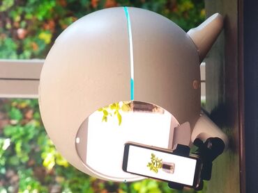 Hazır biznes: 7 ədəd qalıb