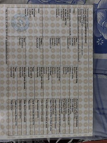 Продажа собак: Продаются Щенки американского питбуля в Сокулук тигрового окраса, две — 18