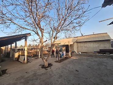 Продажа участков: 9 соток, Красная книга — 5