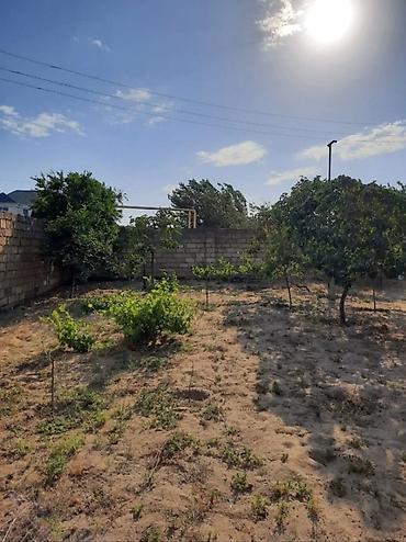ev: Sumqayıt, 80 kv. m, 7 otaqlı, Hovuzsuz, Telefon, İnternet, Su — 2