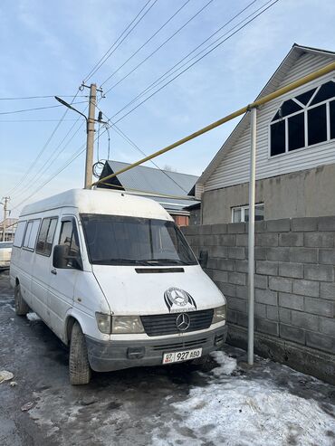 sprinter 2000: Mercedes-Benz Sprinter: 1999 г., 2.9 л, Механика, Дизель, Бус