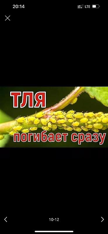 Дворники, садовники: 🌱Я садовник обработка сада ранее весенней обработка плодовых — 10