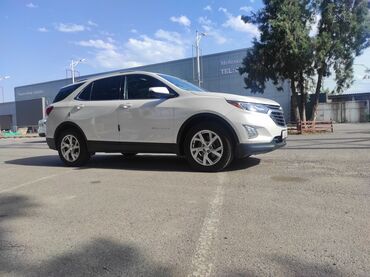 шевроле кроссовер: Chevrolet Equinox: 2019 г., 2 л, Автомат, Бензин, Внедорожник