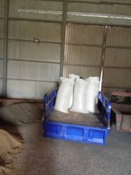 работа в венгрии 2023: Ищу работу хорошо оплачиваемую, возможна с проживанием. Возраст 52