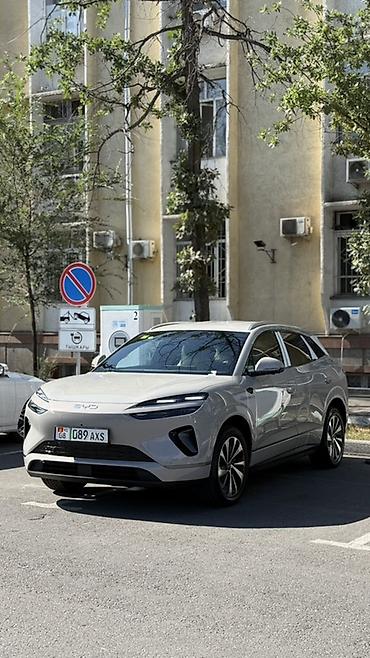 маши: BYD Sea Lion 06: 2026 г., Автомат, Электромобиль, Кроссовер — 3