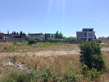 Torpaq: 19 sot, Tikinti, Mülkiyyətçi, Kupça (Çıxarış) — 3