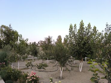 Həyət evləri və villaların satışı: 9 otaq, 700 kv. m, Yeni təmirli — 11