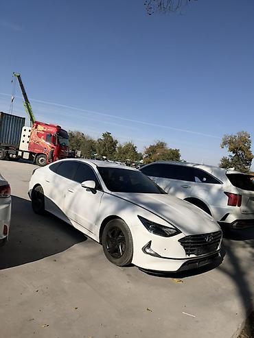 саната дн8: Hyundai Sonata: 2020 г., 2 л, Автомат, Бензин, Лифтбек — 2