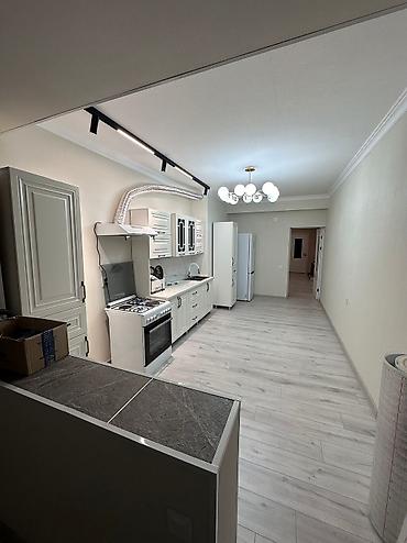 Долгосрочная аренда квартир: 2 комнаты, С мебелью полностью — 15