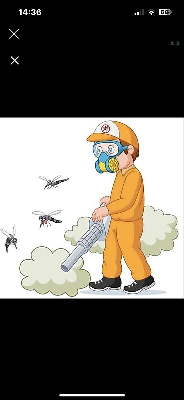 Дезинфекция, дезинсекция: Дезинфекция, дезинсекция, | Клопы, Муравьи, Мыши и крысы, | Дома, Транспорт, Кафе, магазины — 10