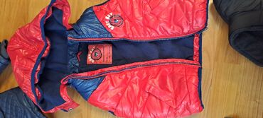 Kurtkalar: Kurtkalar — 6