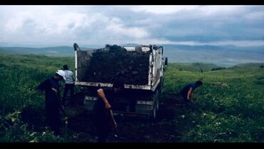 Toxumlar: Şəhid ailələrinə çatdırılma pulsuzdur. Qara torpaq Şamaxı İsmayıllı — 13