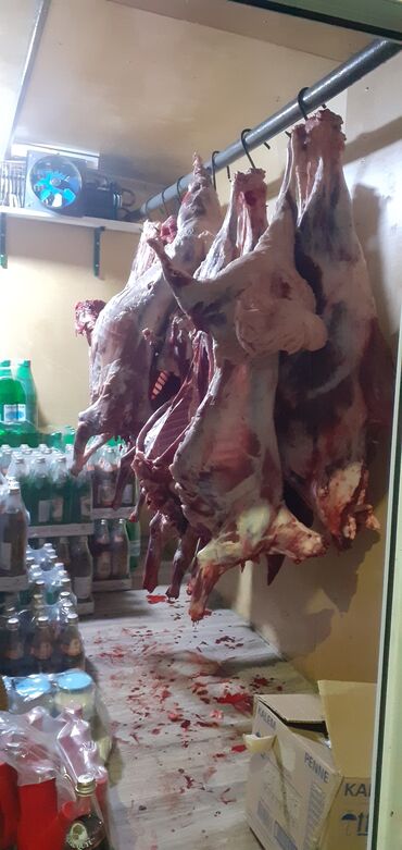 Qoşqular: Sürülə bilən ticarət treyleri – soyuducu/klimat sistemli - Üstü — 13