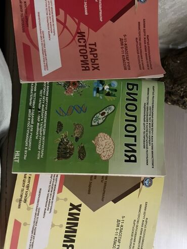 тест алгебра 7 класс кыргызча жооптору менен: Сборники тестовых заданий НЦТ (Кыргызская Республика) для 5–11