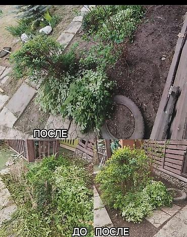 Уборка территории: Уборка территории, Уборка двора и сада — 6