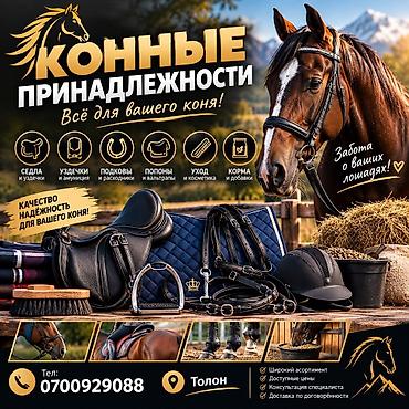 Конные принадлежности — всё для вашего коня! Ассортимент: - Седла и