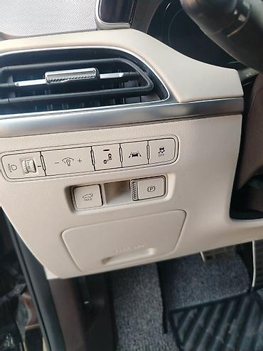 силк вэй: Hyundai Palisade: 2020 г., 2.2 л, Автомат, Дизель, Кроссовер — 10