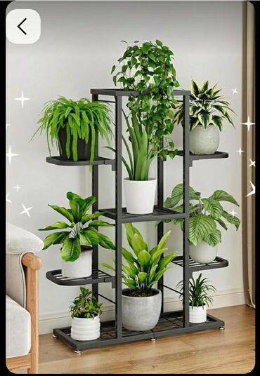 Полки для цветов: На заказ Полки, стеллажи для цветов. для комнатных растений Есть — 11