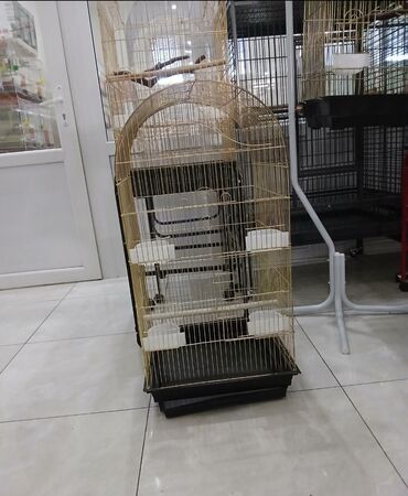 Qəfəslər: Her nov her qiymete qefesler var satisda maraqlamaq isdeyen elaqe -da lalafo.az — 4 Qəfəslər: Her nov her qiymete qefesler var satisda maraqlamaq isdeyen elaqe — 4