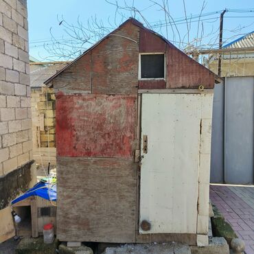 Yuvalar: Salam Aleykum Quşxana satılır istəyən olsa əlaqə saxlasın .hündürlük — 12