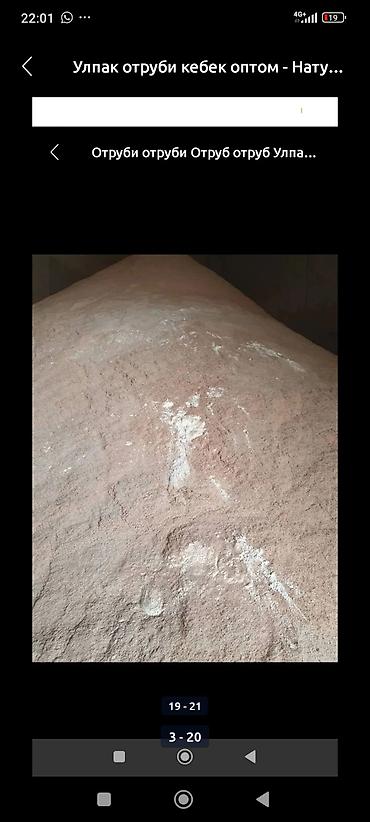 Корма для с/х животных: Отруби пшеничные «Улпак» — оптом. - Натуральные пшеничные отруби — 1