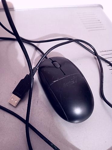 macbook pro 14: Maus – Genius Netscroll 100 (model: XScroll, N1208; məhsul kodu — 1