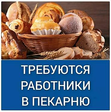 Талап кылынат Нан бышыруучу, Төлөм: Күнүмдүк, 1-2-жылдык тажрыйба
