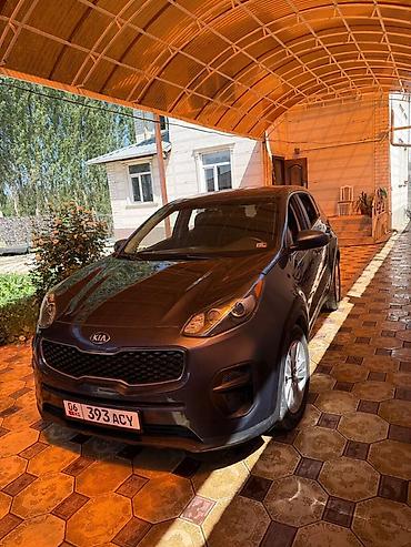 Транспорт: Kia Sportage: 2018 г., 2.4 л, Автомат, Бензин, Кроссовер — 2