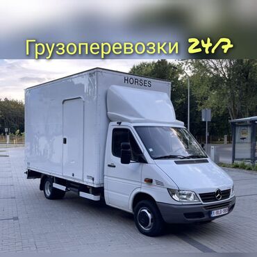Портер, грузовые перевозки: Бус, Переезд, перевозка мебели, По региону, По городу, с грузчиком