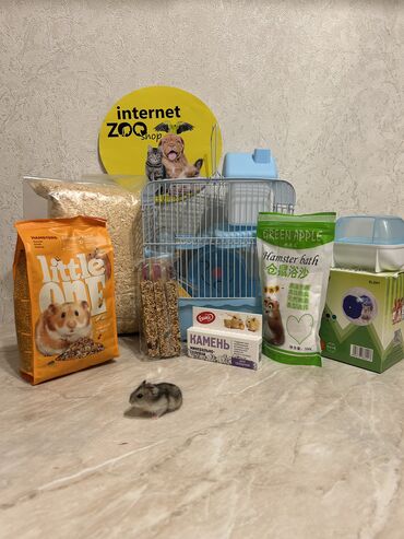 Зоотовары: Продаются клетки для хомячков, кроликов, морских свинок, ежей. Есть — 20