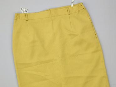zara basic spódnice: Spódnica damska, rozmiar 2XL — 1