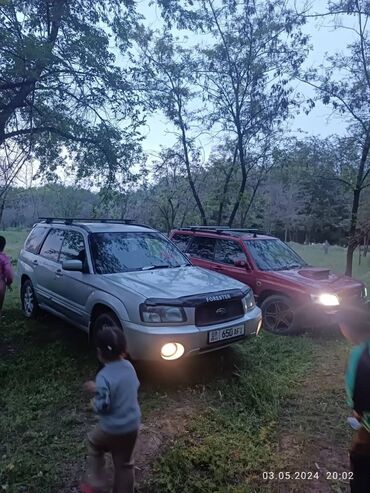 купить японский минитрактор с куном: Subaru Forester: 2003 г., 0.2 - engine capacity л, Механика, Бензин, Универсал