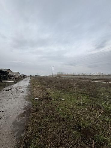 горелка газовая бишкек цена: Сдам в аренду ангары между аэропортом и новым ошским рынком, так же — 10