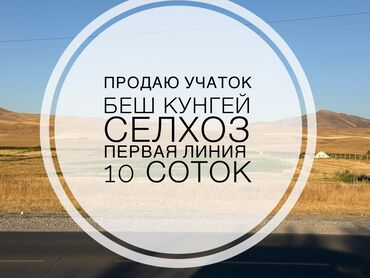 алтын казык ж м: 10 соток, Бизнес үчүн, Кызыл китеп, Техпаспорт, Сатып алуу-сатуу келишими