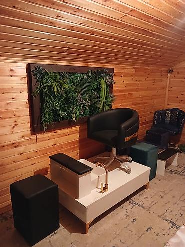 Salon, tibbi mebel: Salon mebelləri kreslolar dekorativ yaşılıq işləri yüksək keyfiyyətli — 1