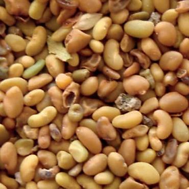 Другие сеялки: 🔥 посевной комплекс cansa (турция) по супер цене! 🔥 сеялка — 8