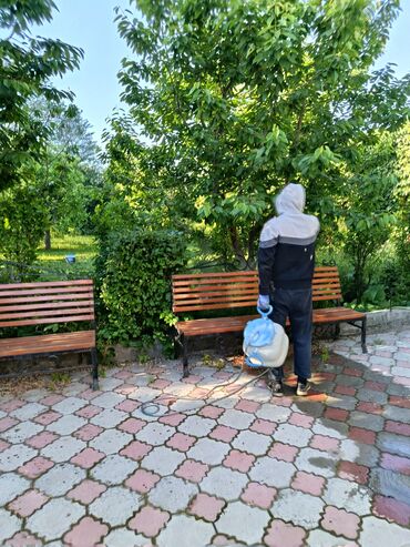 обработка квартиры от клопов: Дезинфекциялоо, дезинсекциялоо