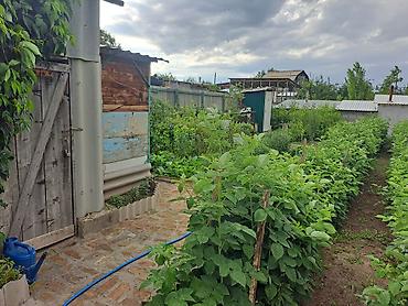 Үйлөр: Дача с ухоженным огородом и постройками - Дом садовый 1,5 .имеется — 6