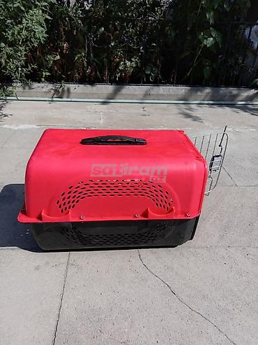 dovsam: Heyvan daşıma çantası (pet carrier) sərt korpuslu. Heç bir problemi — 4