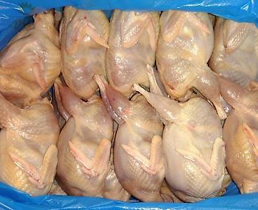 Перепёлки вес тушек 300 грамм . Мясистые тушки мы в центре города